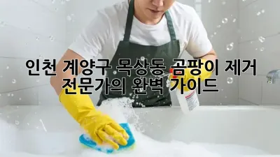 인천 계양구 목상동 곰팡이 제거 전문가의 완벽 가이드