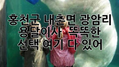 홍천군 내촌면 광암리 용달이사 🚚💨 똑똑한 선택, 여기 다 있어!